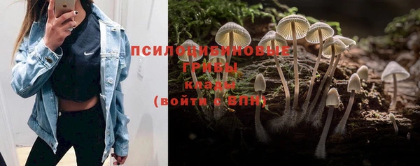 прущая мука Абаза