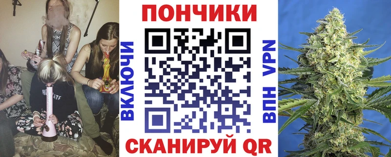 купить   Таштагол  Бошки Шишки конопля 